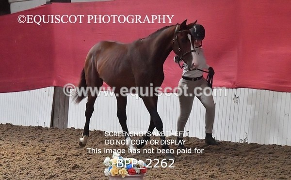 BPP_2262 - AFTERNOON 12.30 - 3.30PM