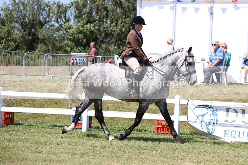 3E7A7975 - Class 9A: Open Small Hunter