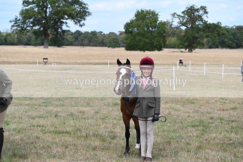 WJ6_6288 - Class 19 In-hand Veterans (Uploaded correct folder)