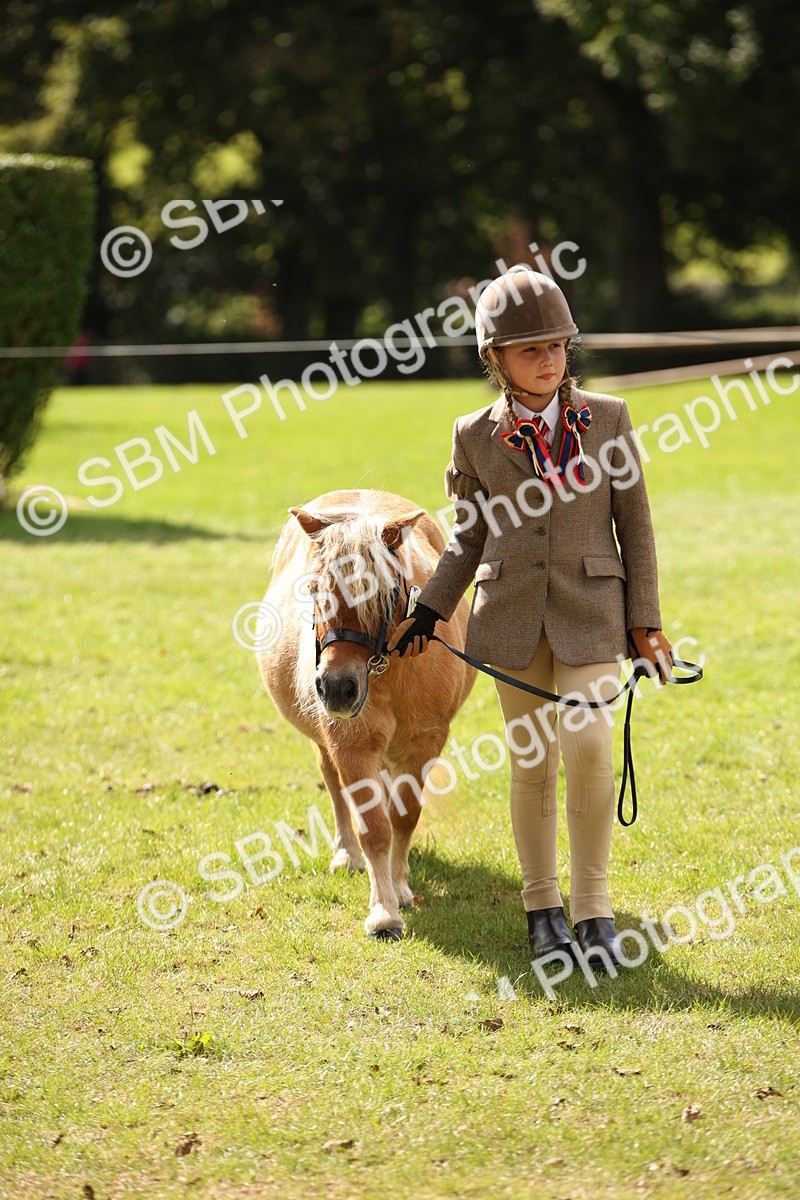 SBM_44413 - S24 - Young Veteran in hand