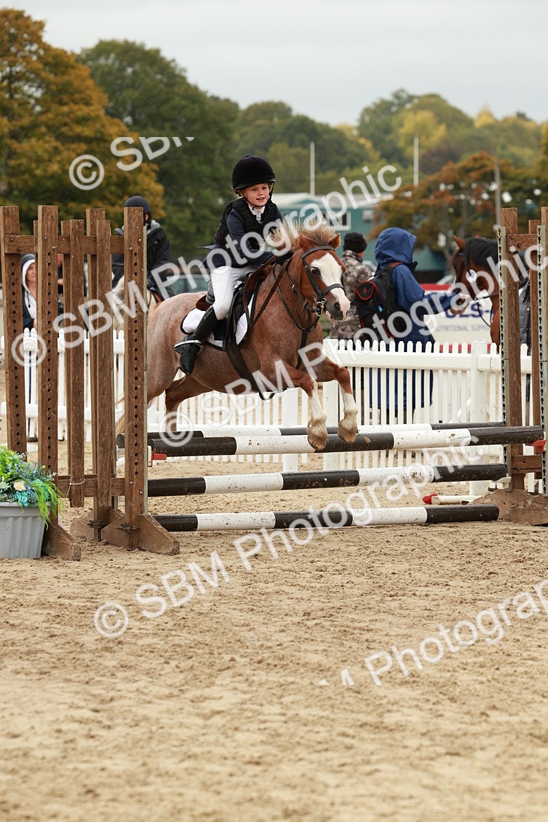 SBM_69160 - J13 - Junior Pony 60cm Championship