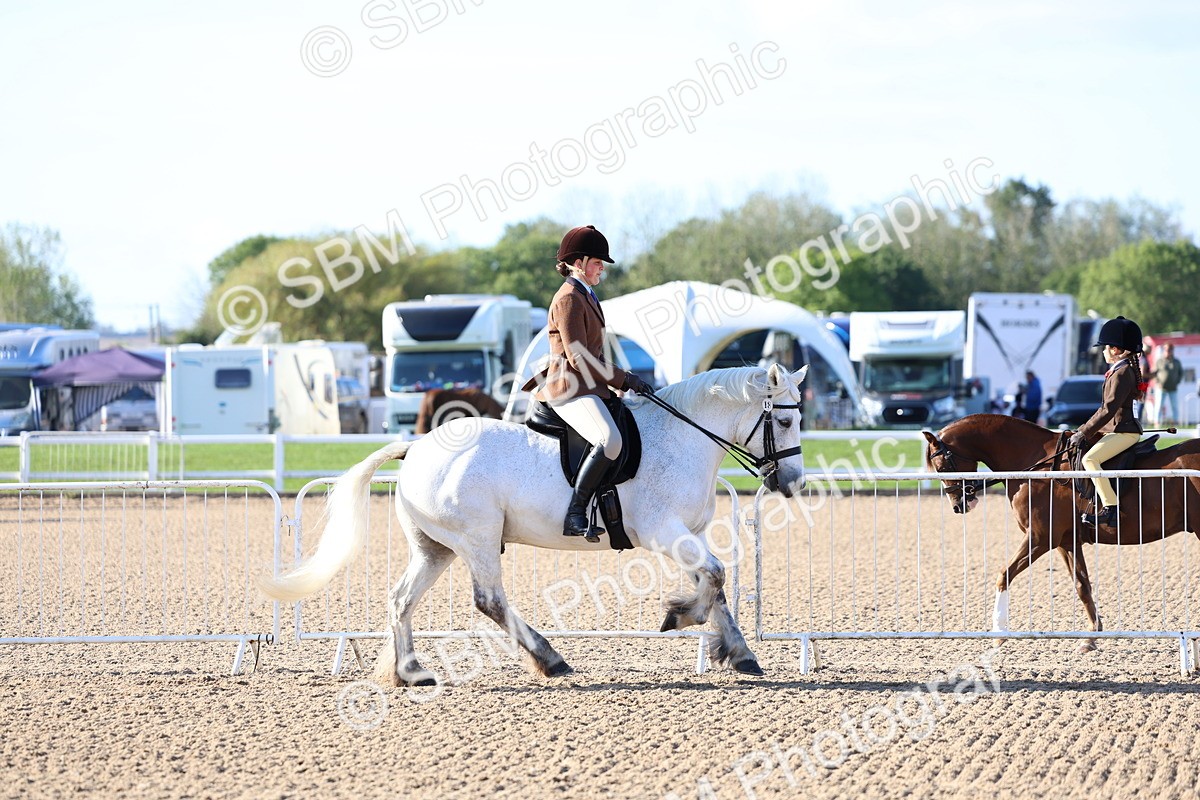 SBM_08750 - Class 302 - Ridden M&M - Large Breeds
