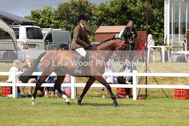 3E7A0846 - Class 8: Open Riding Horse/Hack