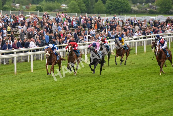190523-Race 3-Marhaba The Champ-0635 - Race 3 3.00pm Knights Solicitors Handicap