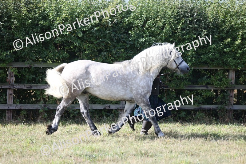 20250831-1345 - Class 21 - Inhand Open