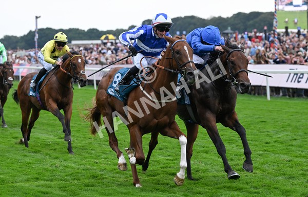 230825-257 Revival Power - Race 6 4.45pm Julia Graves Roses Stakes