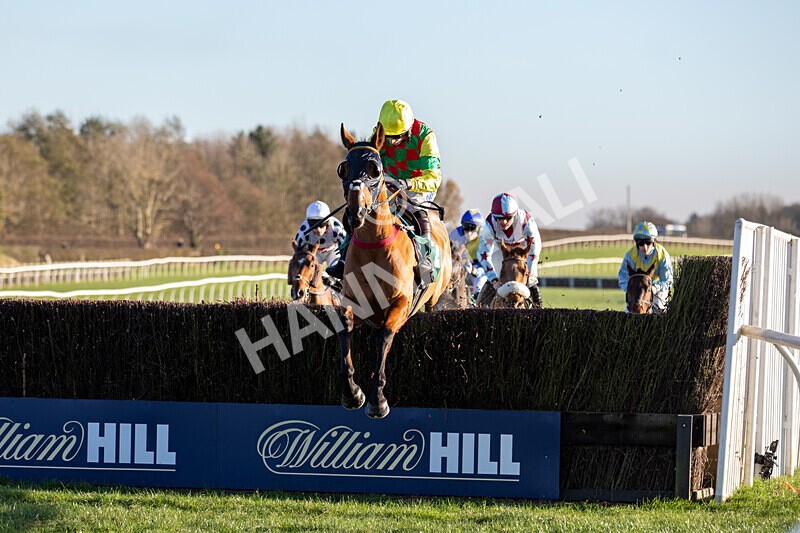 221124-Race 4-Duke Of Luckley--8552 - Race 4