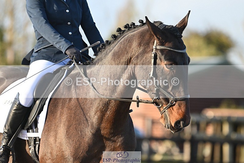 231105-153226-03040 - Cls 4 Novice 24 15.24 to 16.35 break