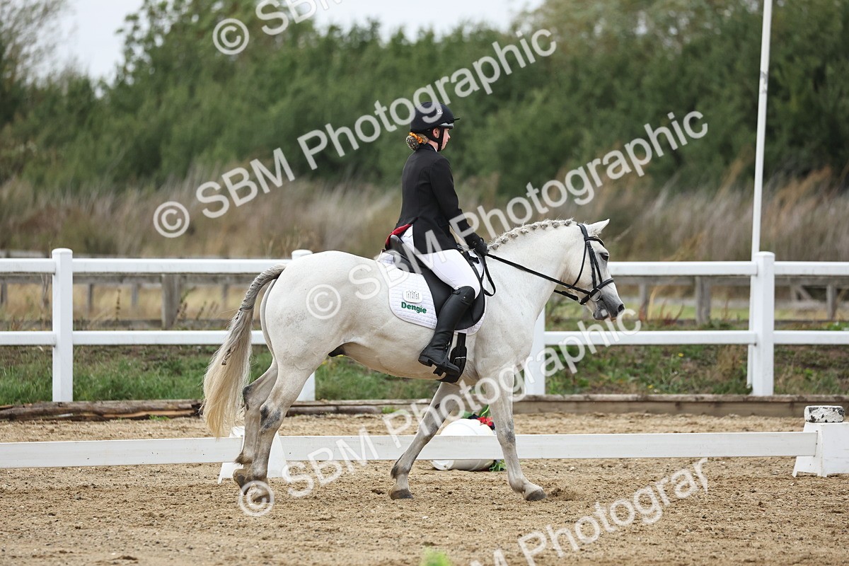 SBM_004352 - Class 8 - Novice 3 Champs