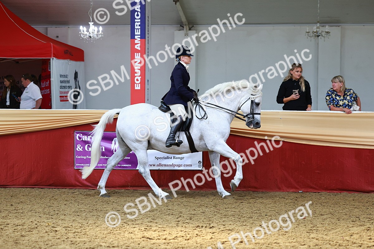 SBM_23339 - class 906 - Supreme Final - Ridden Pre Vet