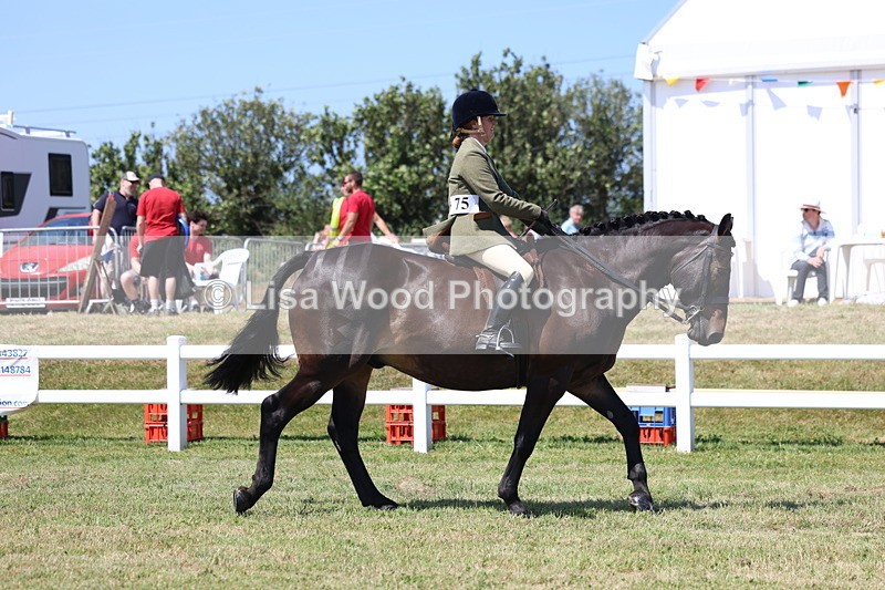 3E7A7965 - Class 9A: Open Small Hunter