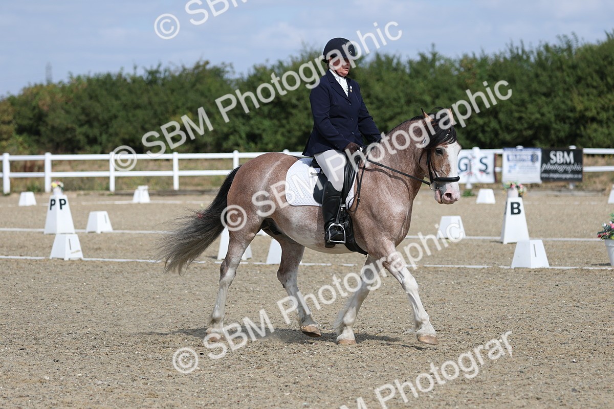 SBM_020942 - Class 21 - M5 Bronze 10.58.12.10