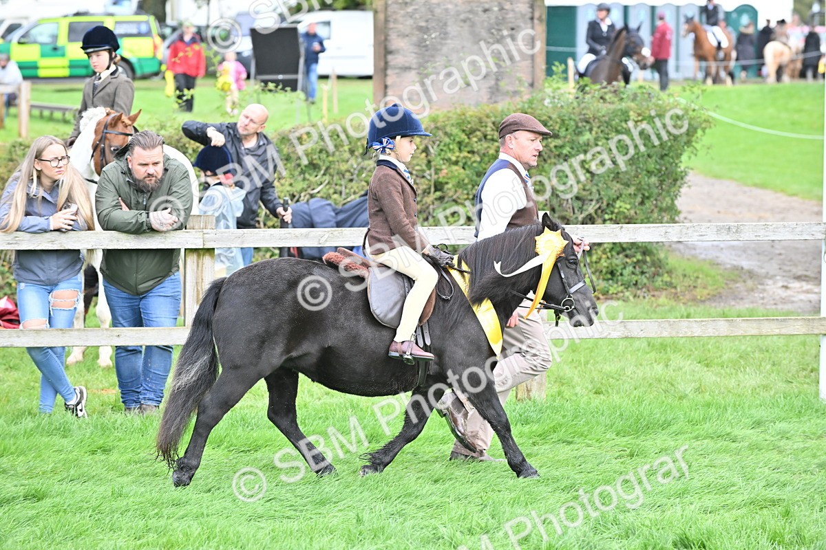 SBM_39300 - Lead Rein Supreme Championship