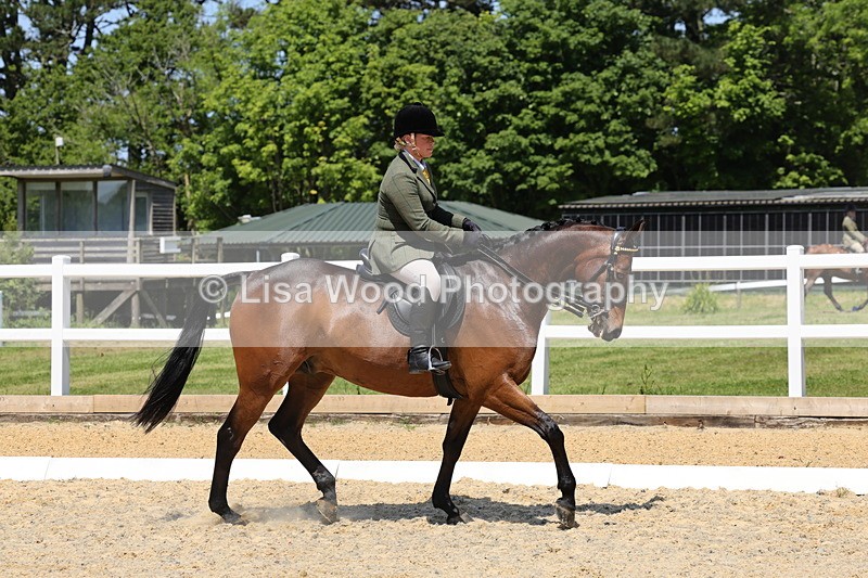 1X9A1801 - Class 12: Ridden Riding Horse/Hack