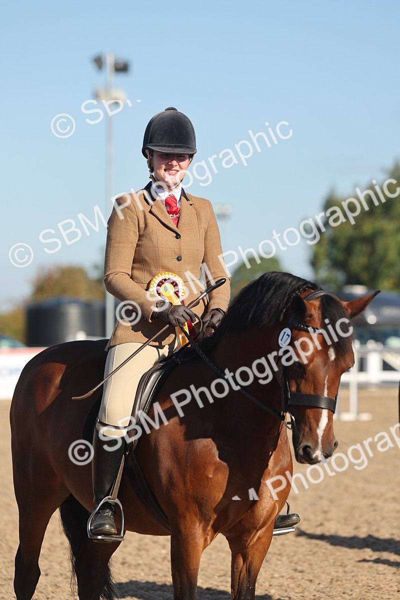 SBM_11132 - Class 302 - Ridden M&M Large Breeds