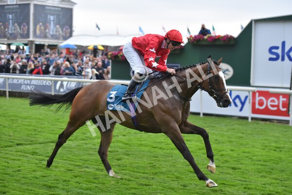 yr22072022r6-24 - Race 6 7.50pm Gallop Racing Stakes