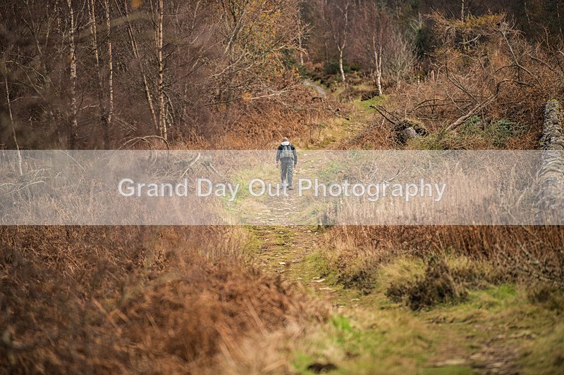 Tweed Valley-907 - High Terrain Events Tweed Valley 50 & 65K Ultra Trail Races Sunday 16th November 2025