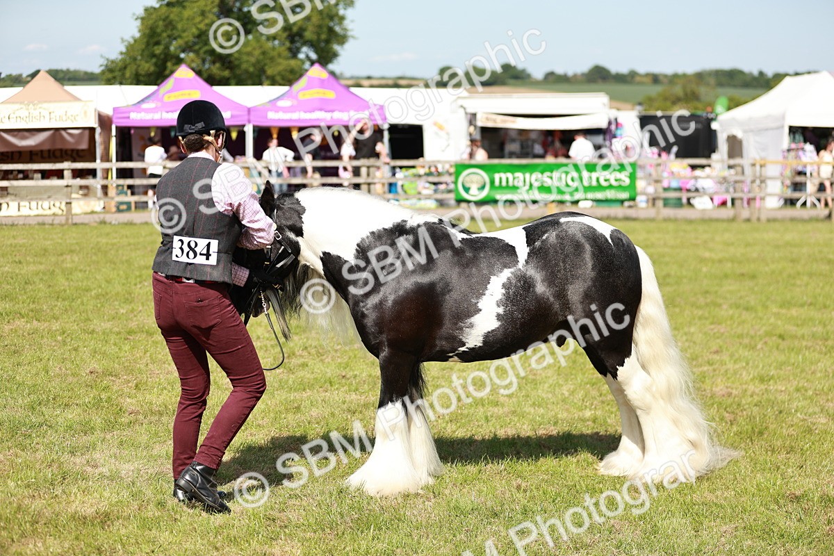 SBM_08819 - Class 63-65 - Traditional Gypsy Cobs In Hand & Ridden