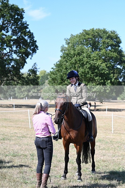 WJ7_1331 - Class 41 Prettiest Mare