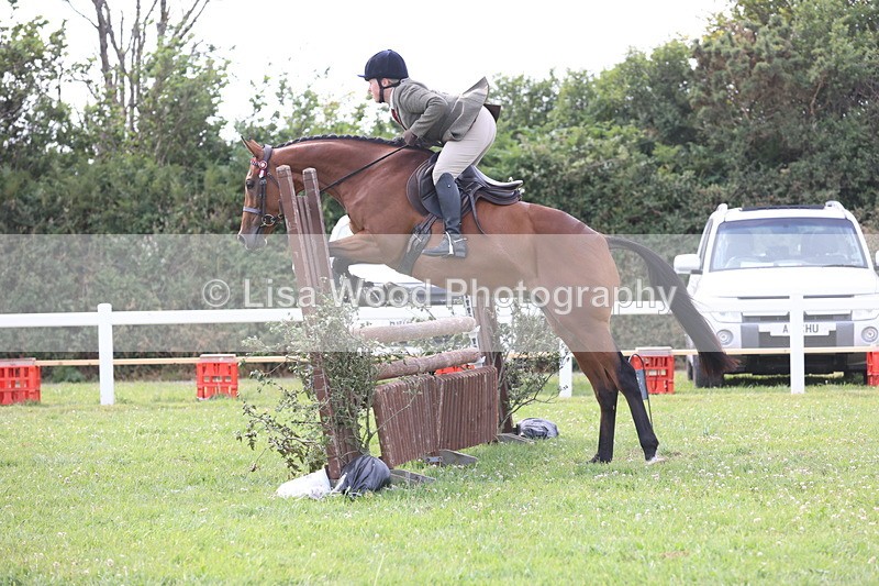 JPP_4204 - Class 25: Working Show Horse