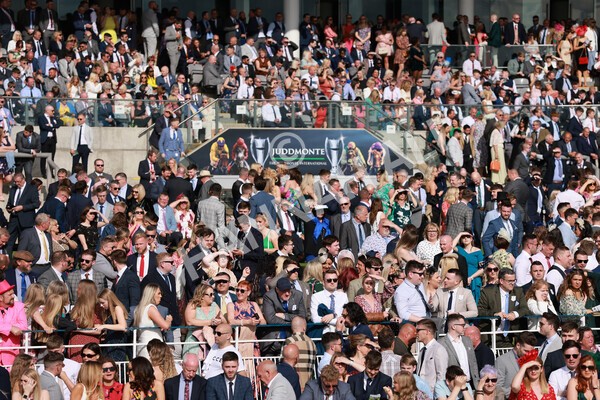 yr21052022r7-18 - Race 7: 5:15pm Reg Bond Always and Forever Stakes