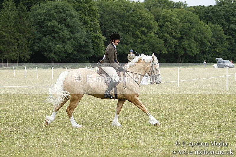 BVR160717-199 - Ring 3 BVRC Show 16/07/17