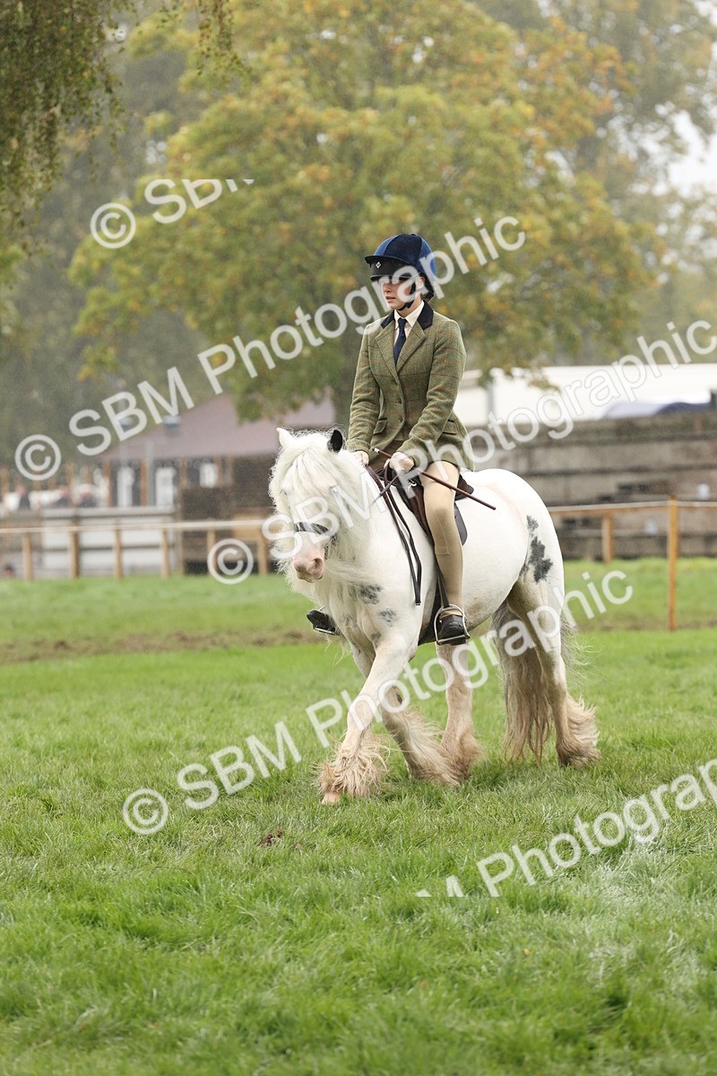 SBM_72773 - S70 - Traditional Cob Ridden