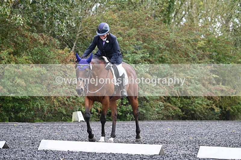 WJ7_6511 - Time 14:49 to 15:14