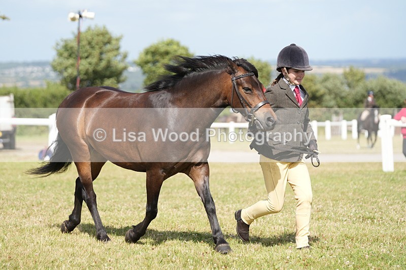 DSC07649 - Class 62: Child Handler