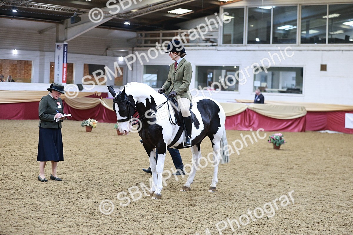 SBM_09099 - Class 12R - Regional Ridden Pre-Vet