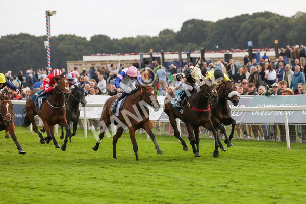 220824-Race 7-Alfa Kellenic-7890 - Race 7 5.20pm British EBF Fillies' Handicap