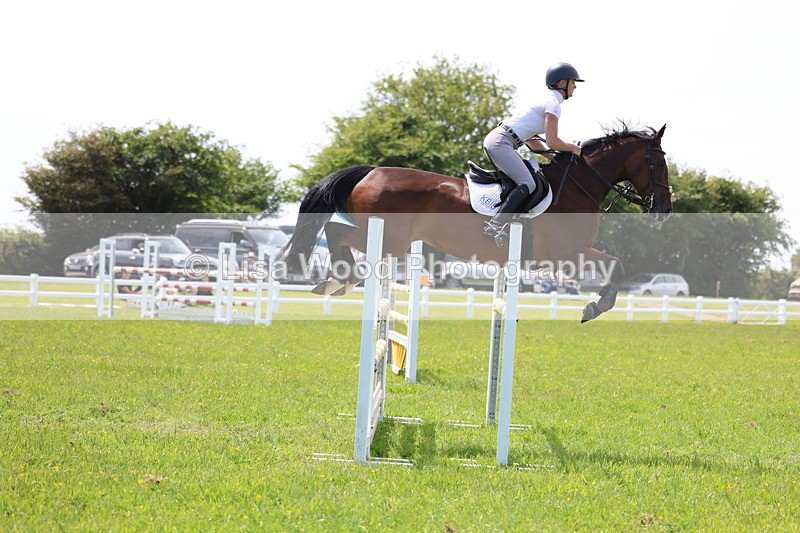 3E7A1359 - Class 12: Senior Foxhunter/1.20 open