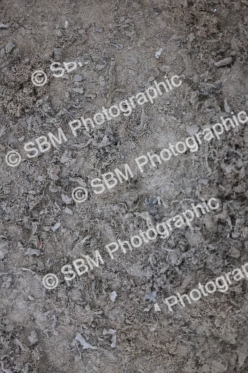 SBM_005628 - Evening Performance