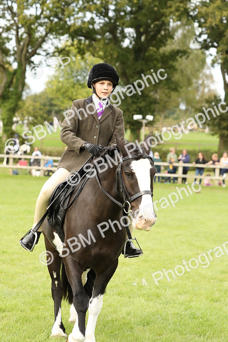 SBM_71588 - S41 - Ridden Equitation (Best Rider)