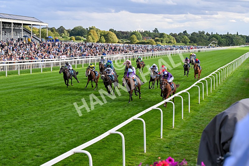 190826-Race 7-Henley On Thames-0784 - Race 7 17.20pm Sky Bet Nursery Handicap