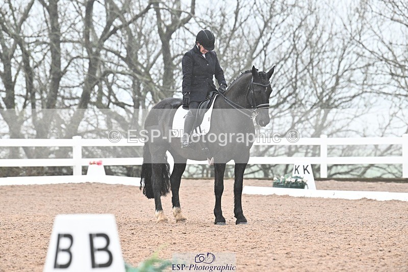 250215-103105-03038 - 244-Suzanne.Clark-Ballinamurra.Billy