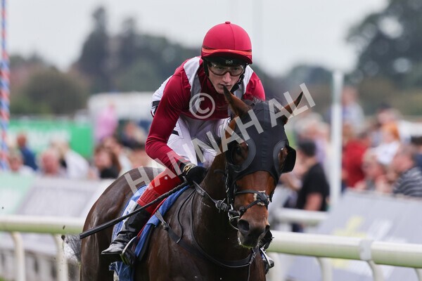 yr24092021r5-25 - Race 5 3.50pm William Hill Leading On Course Bookmaker Stakes