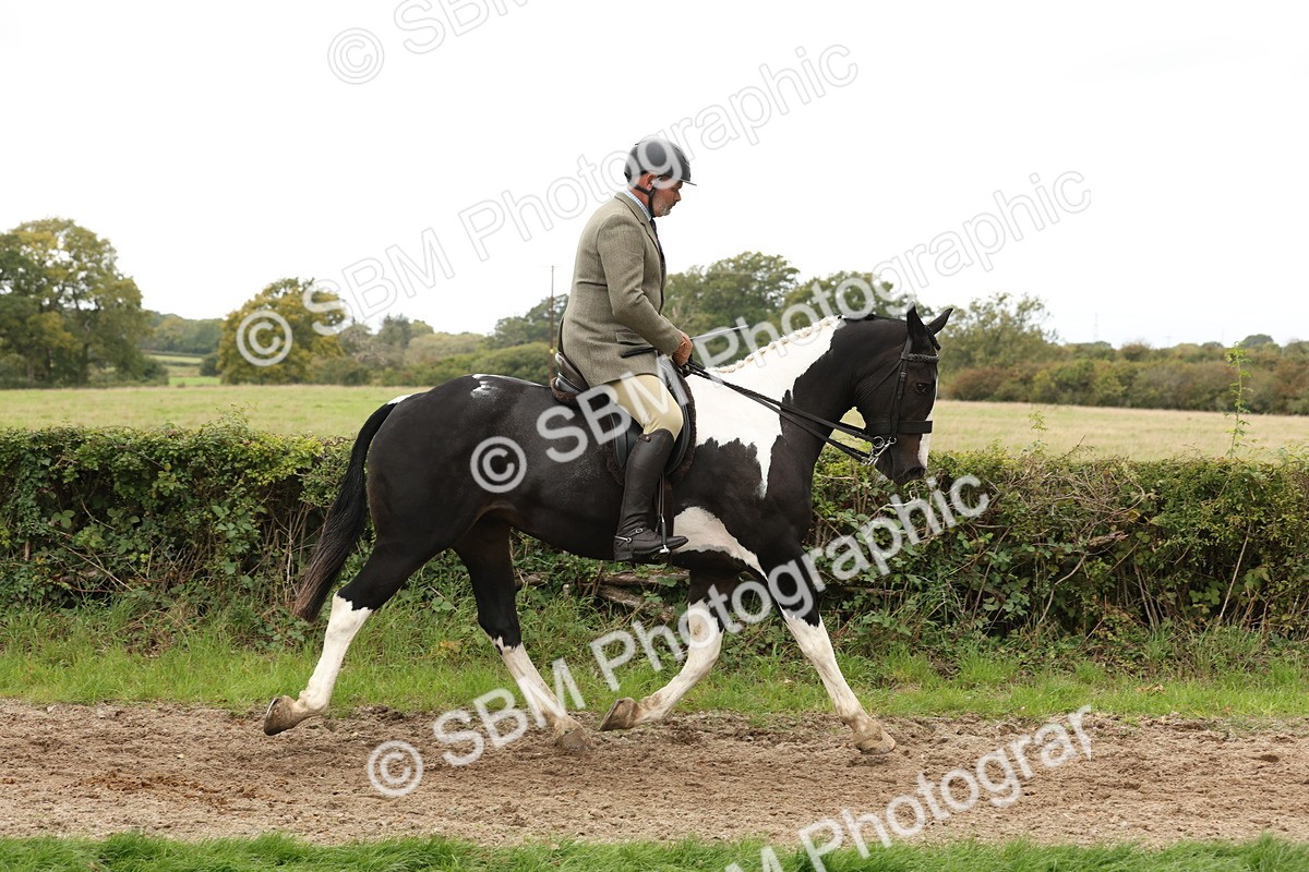 SBM_67211 - S67 - Piebald & Skewbald Horse Ridden