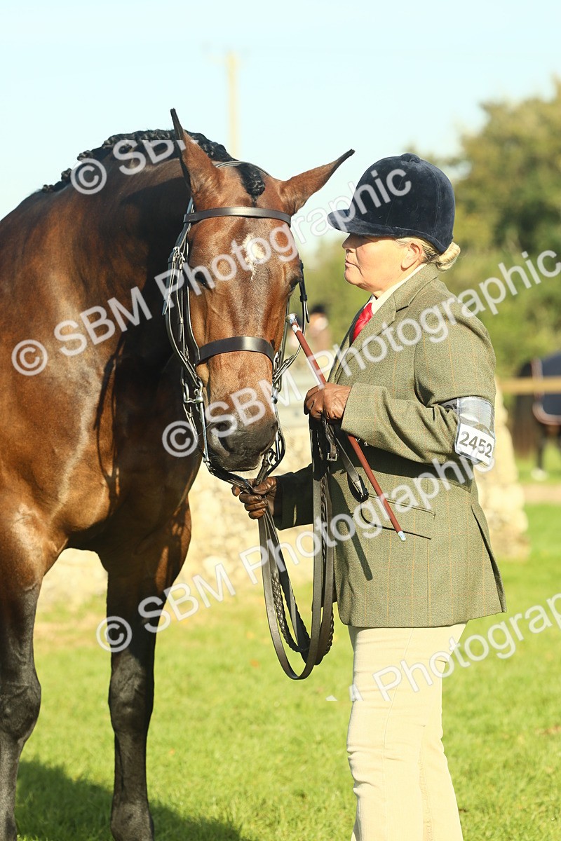 SBM_58601 - S37 - Starters In Hand Showing