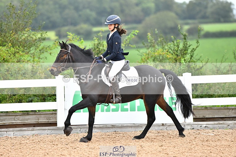 230819A-101306-00182 - Cls 21 Pony Brit Novice & 80cm Open