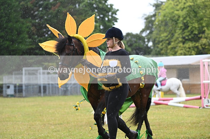 WJ6_9228 - Class 11 Fancy Dress
