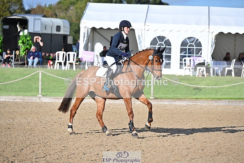 241027-135005-17619 - 546-Jennifer.Jaques-AURELIA.COOL