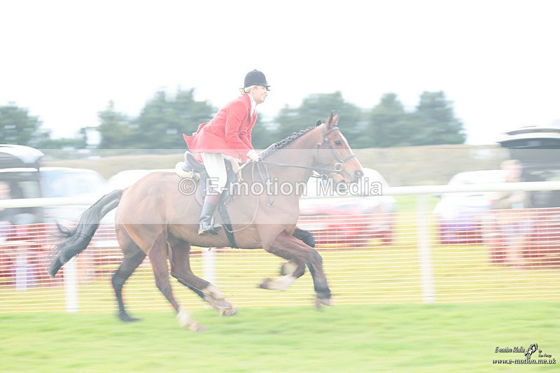 PtP 170324 2396 - Oakley Hunt PtP Brafield-On-The-Green 17/03/24