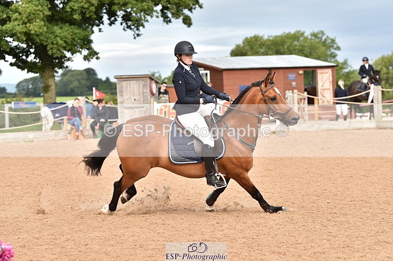 230810A-095410-00160 - Cls 8 British Novice & 90cm Open