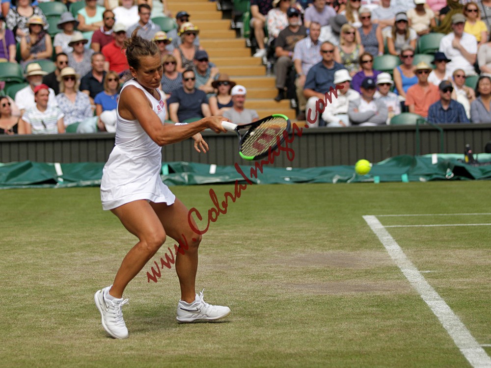 AF0I0079 - Wimbledon