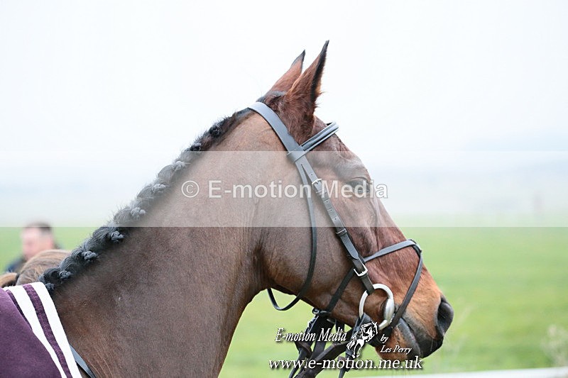 PtP 261123 309 - Hursley Hambledon Point-to-Point Larkhill 26 Nov 2023