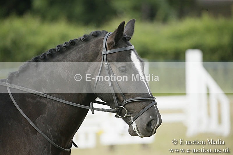 B230619-0176 - Bourne Valley Riding Club Summer Show 23/06/19