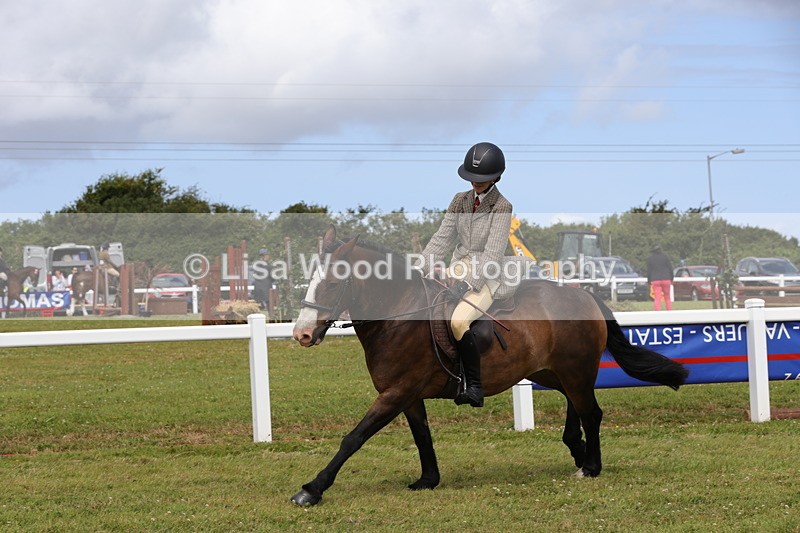1X9A4009 - Class 32: Show Hunter Pony 153cm and under