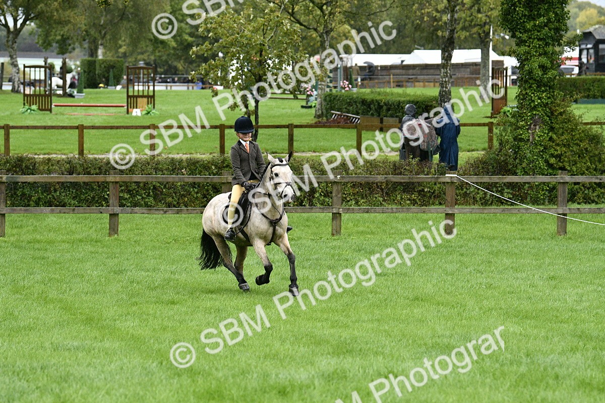 SBM_35549 - S30 - Nursery Stakes Working Hunter Pony