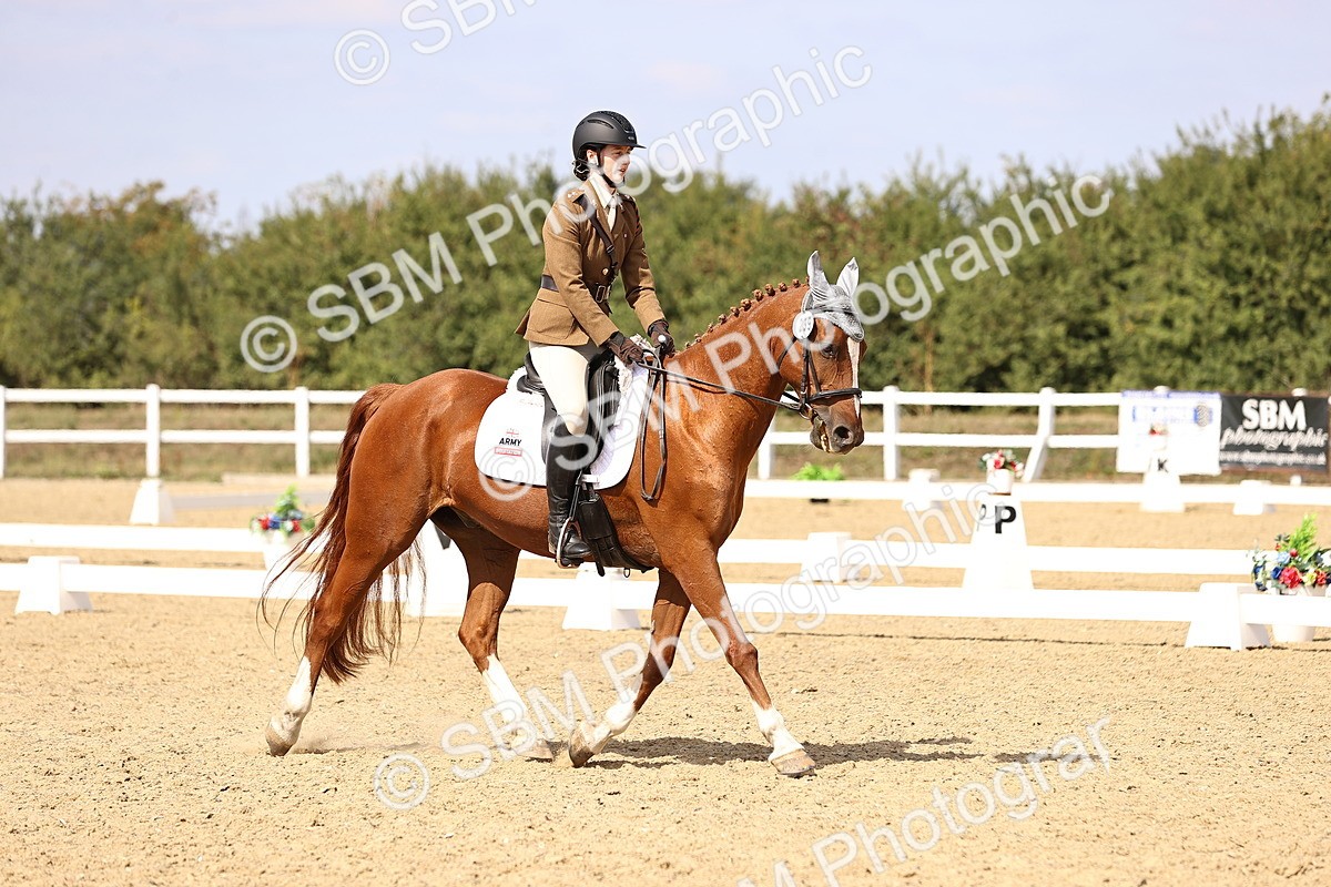 SBM_014980 - Class 6 - Elementary 5